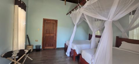 Accommodation and Meals