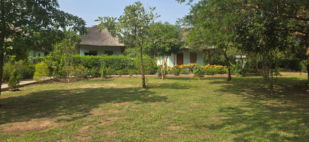 Chui Safari Camp
