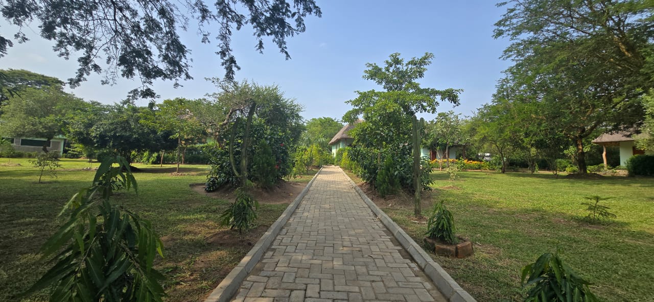 Chui Safari Camp Uganda
