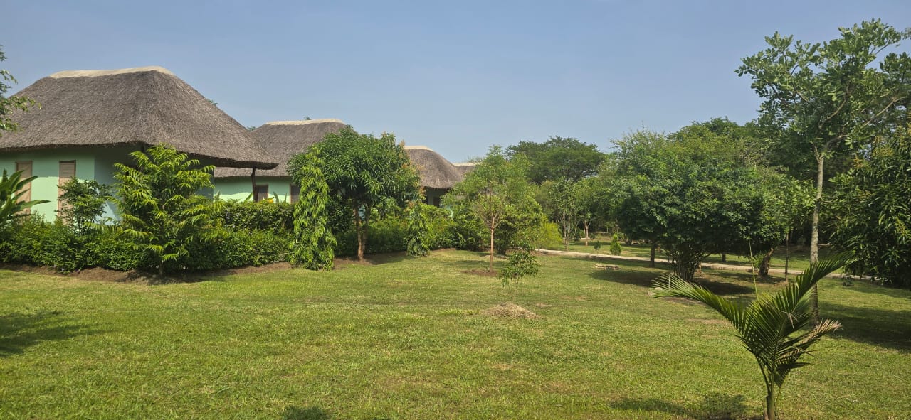 Buah Branch