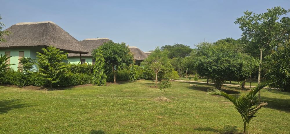 A Home Among Nature