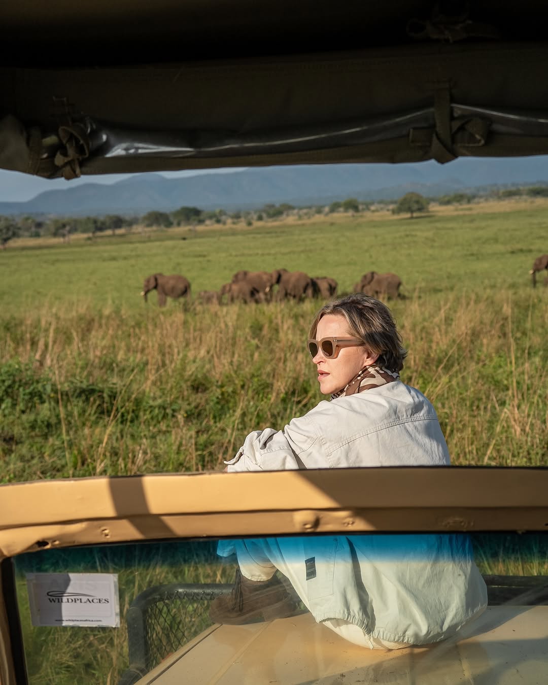 Elephants on the savanna during a game drive