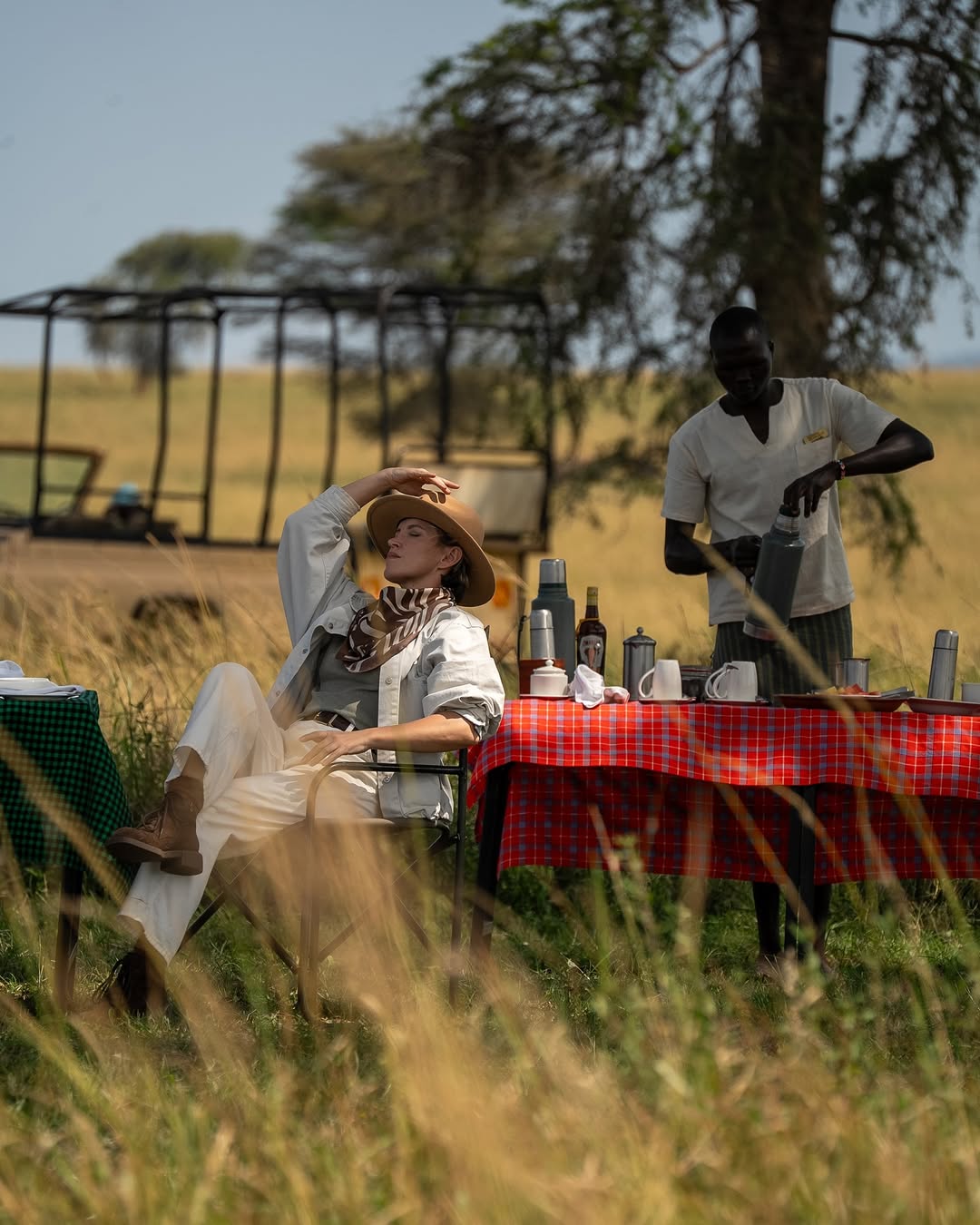 Safari breakfast in the wild