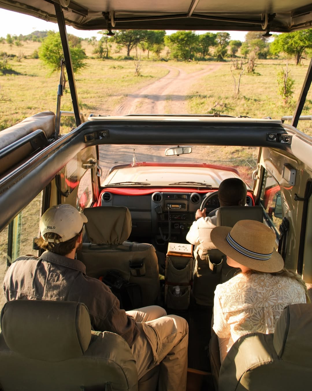 View from inside the safari vehicle
