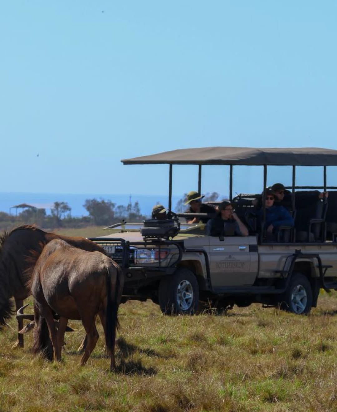 Exciting Game Drive