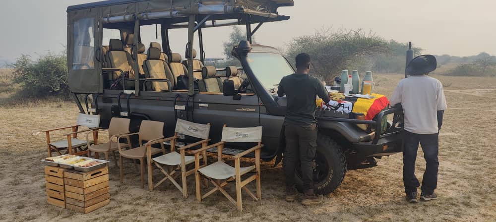 A Celebration of Taste